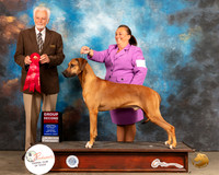 Rhodeisan Ridgeback #5 Thur G2 Judge Houston Clark