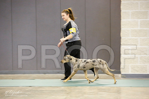 _JN_1333-BeltonJan2015-HR3