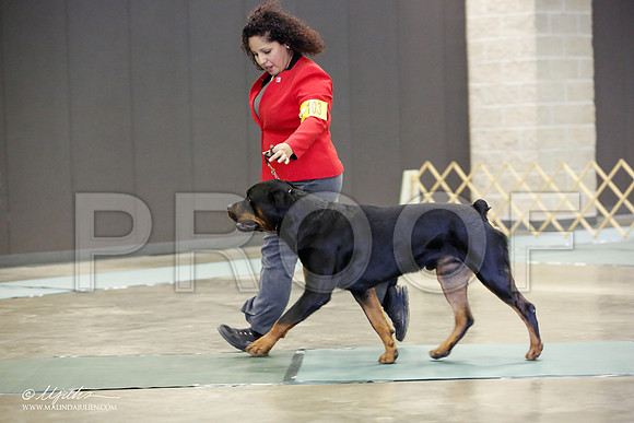 _JN_2149-BeltonJan2015-HR3
