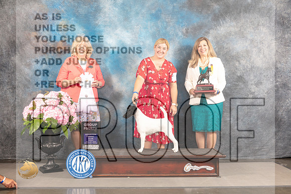 Smooth Fox Terrier #8 FRI G4 Judge Karen McFarlane_MJ_5714_Houston_2022_HR3