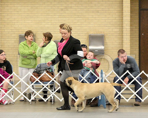 6-9PupSweeps-6848