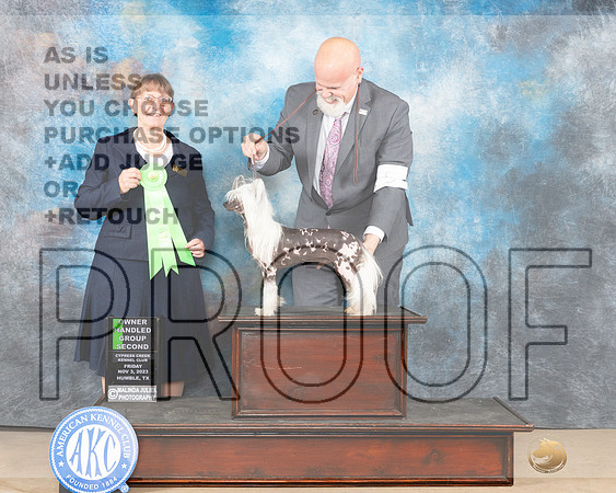 Chinese Crested #8 Fri OHG2 Judge Nancy Eilks-_JP_9821e_CCKC2023_HR3