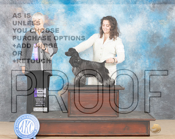 Cocker Spaniel #10 Sat WD Judge Lori Nelson-_JP_0366e-CCKC2023_HR3