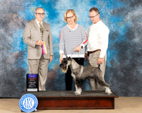 Dottie Roach CCKC 2023