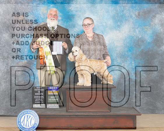Cocker Spaniel ASCOB #7 Sat BOVBOBVet Judge Matthew Proctor-_JP_0182e-CCKC2023_HR3
