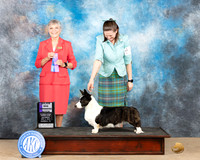 Heather Miller CCKC  2023