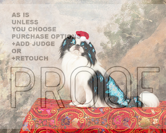 Japanese Chin Jan_JP_1829e2_Marshall2023_HR3