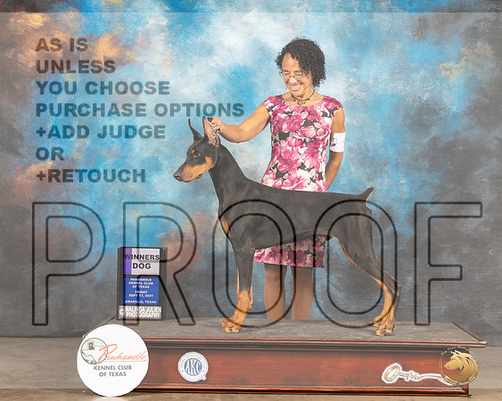 Doberman Pinscher #9 Fri WD Judge Houston Clark-MMJ_1567-Amarillo2021