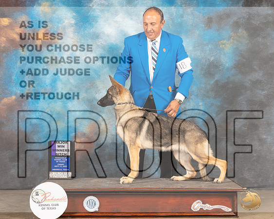 German Shepherd Dog #18 Fri BOWMaj Judge Gloria Kerr-MMJ_1598-Amarillo2021