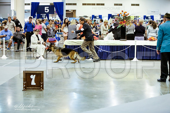 _JJ_9480-HstnJul2014-HR3