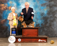 Australian Terrier #5 Fri G3 Judge Gloria Kerr