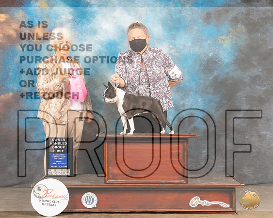 Boston Terrier #6 Fri OHG1 Judge Gloria Kerr-MMJ_1806-Amarillo2021