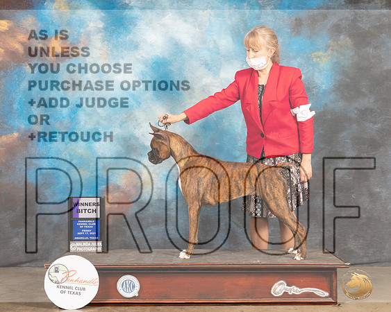 Boxer #6 Fri WB Judge Jan Paulk-MMJ_1789-Amarillo2021