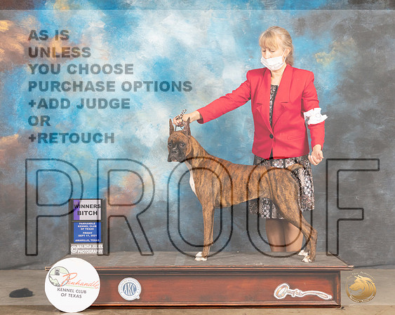Boxer #6 Fri WB Judge Jan Paulk-MMJ_1792-Amarillo2021