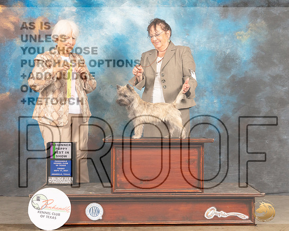 Cairn Terrier #6 Fri PBIS Judge Gloria Kerr-MMJ_1643-Amarillo2021