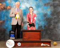 Chihuahua Smooth #J505 Fri BJr Judge Ted Eubank