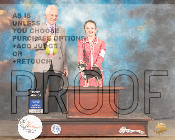 Chihuahua Smooth #J505 Fri BJr Judge Ted Eubank-MMJ_1661-Amarillo2021