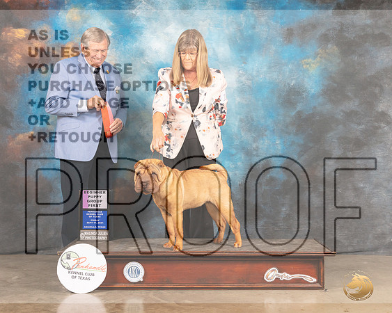 Chinese Shar Pei #10 Fri PG1 Judge Robert Robinson-MMJ_1701-Amarillo2021