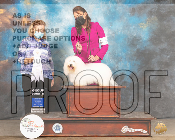 Coton #5 Fri G4 Judge Donelle Richards-MMJ_1768-Amarillo2021