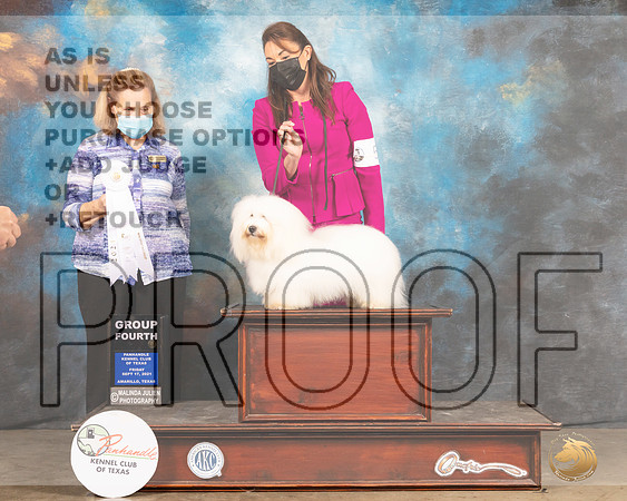 Coton #5 Fri G4 Judge Donelle Richards-MMJ_1770-Amarillo2021