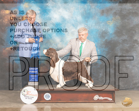 English Springer Spaniel #7 Fri G1 Judge Robert Robinson-MMJ_1752-Amarillo2021