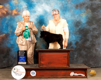 Schipperkee #5 Fri OHG3 Judge Gloria Kerr