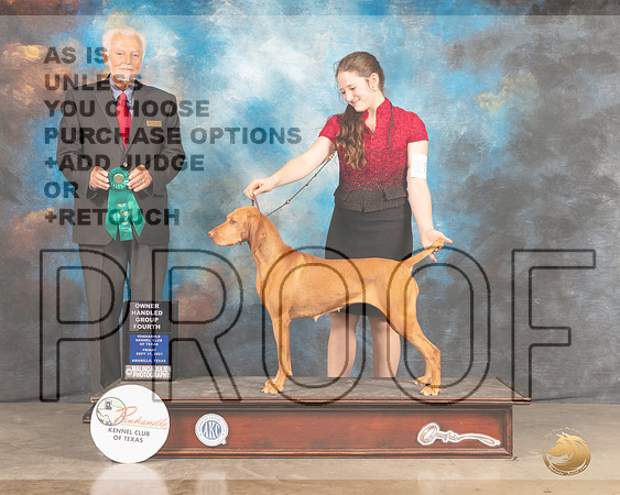 Vizsla #10 Fri OHG4 Judge Houston Clark-MMJ_1724-Amarillo2021