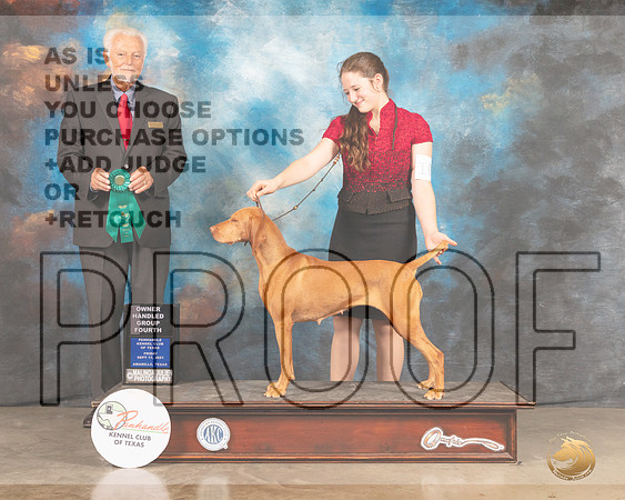 Vizsla #10 Fri OHG4 Judge Houston Clark-MMJ_1725-Amarillo2021