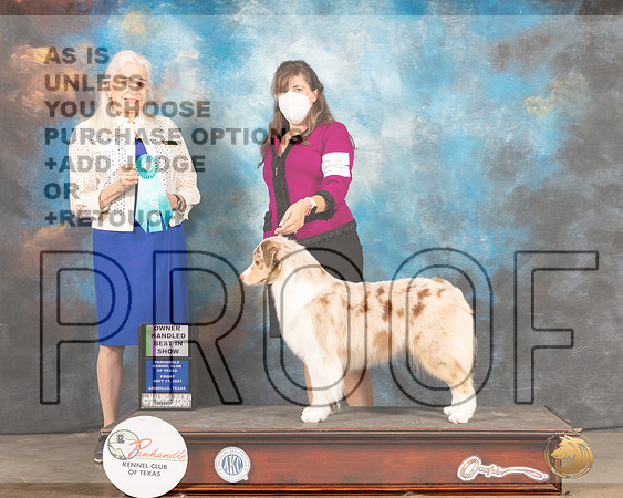 Australian Shepherd #24 Fri OHBIS Judge Jan Paulk-MMJ_1949-Amarillo2021