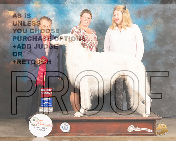 Borzoi #19 Fri G2 Judge Del Richards-MMJ_1824-Amarillo2021