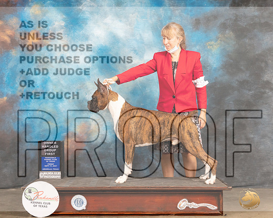 Boxer #9 Fri OHG1 Judge Houston Clark-MMJ_1968-Amarillo2021