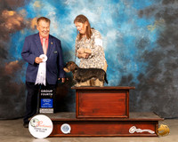 Dachushund Wire Haired #7 Fri G4 Judge Del Richards