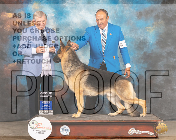 German Shepherd Dog #17 Fri G4 Judge Robert Robinson-MMJ_1876-Amarillo2021