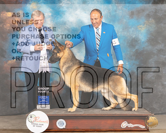 German Shepherd Dog #17 Fri G4 Judge Robert Robinson-MMJ_1875-Amarillo2021