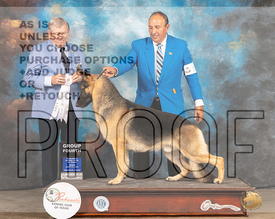 German Shepherd Dog #17 Fri G4 Judge Robert Robinson-MMJ_1877-Amarillo2021