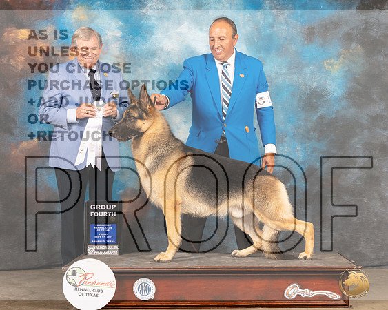German Shepherd Dog #17 Fri G4 Judge Robert Robinson-MMJ_1879-Amarillo2021