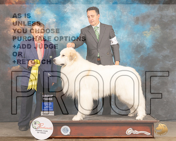 Great Pyrenees #5 Fri G3 Judge Del Richards-MMJ_1889-Amarillo2021
