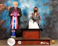 Maltese #6 Fri BIS Judge Houston Clark