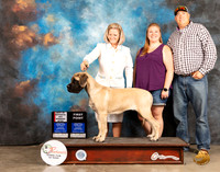 Mastiff #? Fri BOS Judge Jan Paulk