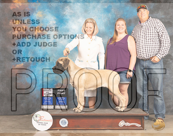 Mastiff #? Fri BOS Judge Jan Paulk-MMJ_1935-Amarillo2021