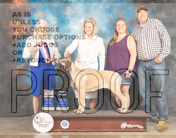 Mastiff #? Fri BOS Judge Jan Paulk-MMJ_1940-Amarillo2021