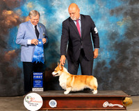 Pembroke Welsh Corgi #10 Fri G1 Judge Robert Robinson