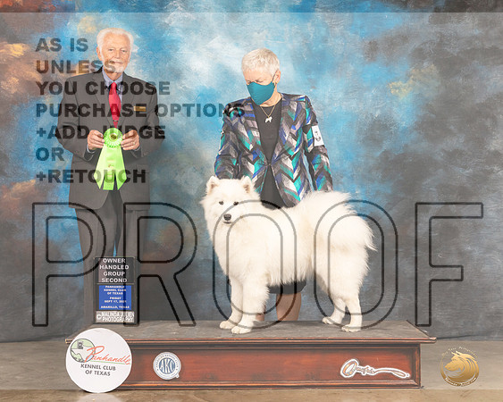 Samoyed #6 Fri OHG2 Judge Houston Clark-MMJ_1853-Amarillo2021