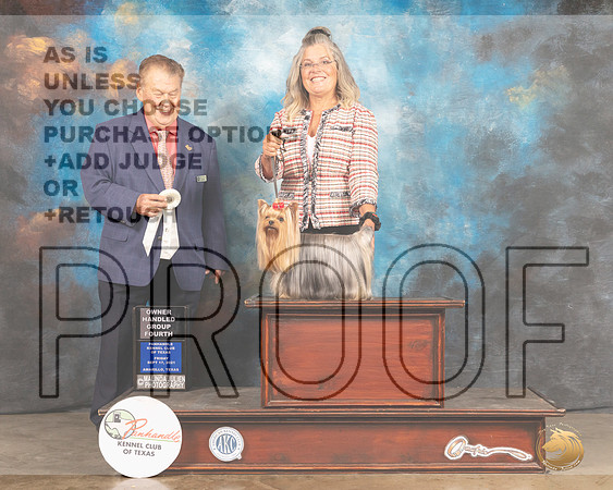 Yorkshire Terrier #5 Fri OHG4 Judge Del Richards-MMJ_1850-Amarillo2021