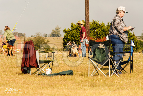_MJ_4069-AfgBeltonOct2014-HR3