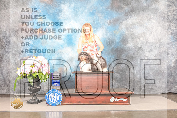 Havanese #? SUN WB Judge Barbara AldermanHavanese #? SUN WB Judge Barbara Alderman_MJ_8167_Houston_2022_HR3_Houston_2022_HR3