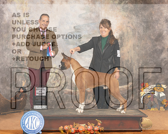 Boxer Sun WDBOS Judge Nicolas DeBedout_JP_2167e_Marshall2023_HR3
