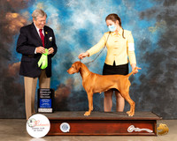 VIzsla #10 Thur OHG2 Judge Robert Robinson
