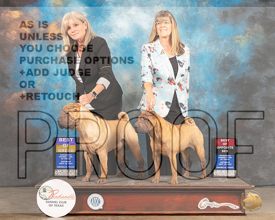 Chinese Shar Pei #12 #5 Sat BOB BOS Judge Jan Paulk-MMJ_2103-Amarillo2021