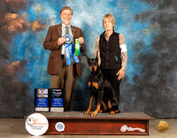 Doberman Pinscher #7 Sat NovBHIT Judge Robert Margolis